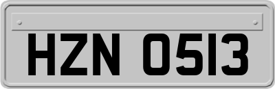 HZN0513