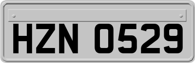 HZN0529