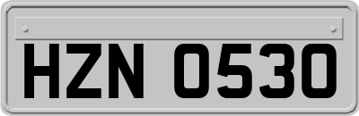 HZN0530