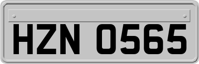 HZN0565