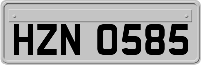 HZN0585