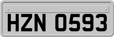 HZN0593