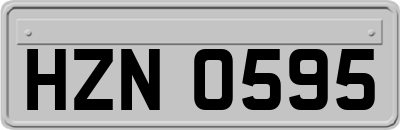 HZN0595