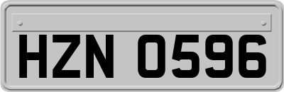 HZN0596