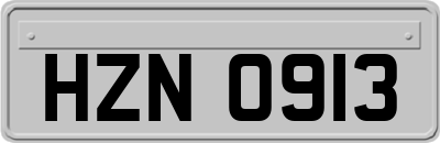 HZN0913