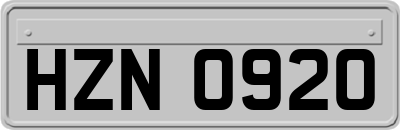 HZN0920