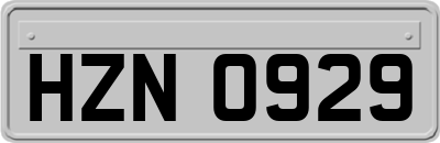 HZN0929