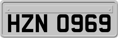 HZN0969