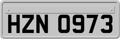 HZN0973