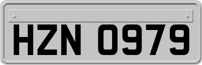 HZN0979