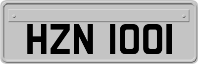 HZN1001