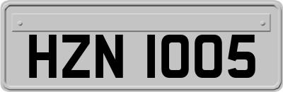 HZN1005