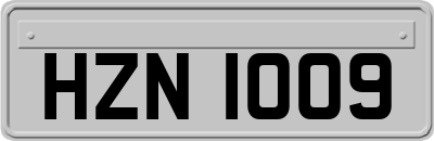 HZN1009