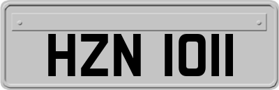 HZN1011