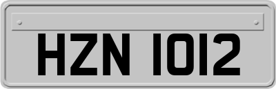 HZN1012