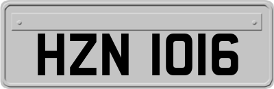 HZN1016