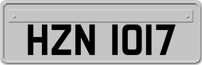 HZN1017