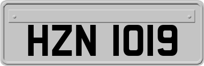 HZN1019