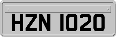 HZN1020