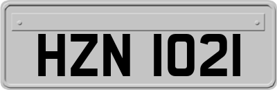 HZN1021