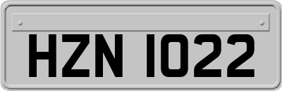 HZN1022