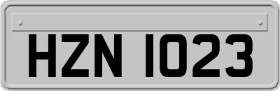 HZN1023