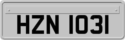 HZN1031
