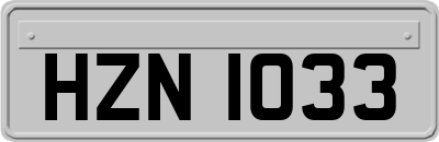 HZN1033