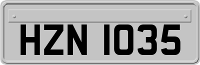 HZN1035