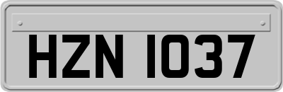 HZN1037