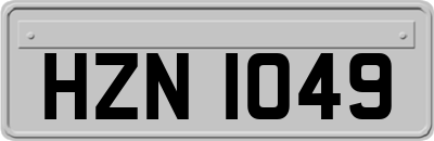 HZN1049