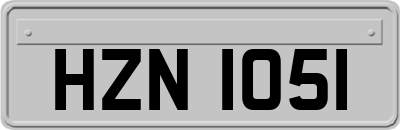 HZN1051