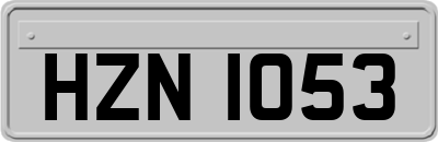 HZN1053
