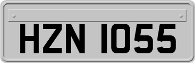 HZN1055
