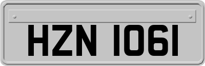 HZN1061