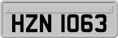 HZN1063