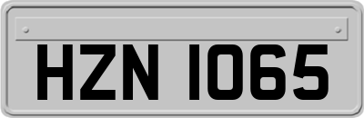 HZN1065