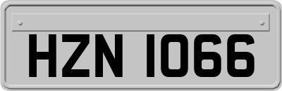 HZN1066