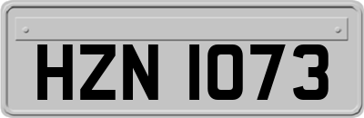 HZN1073