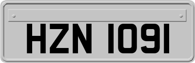 HZN1091
