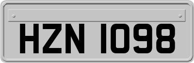 HZN1098