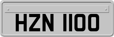 HZN1100