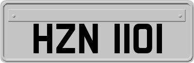 HZN1101