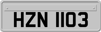 HZN1103
