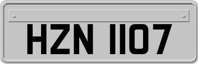 HZN1107
