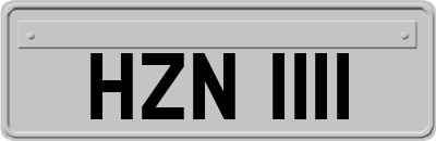 HZN1111