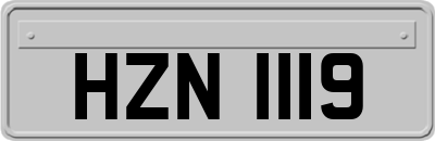HZN1119