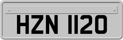 HZN1120