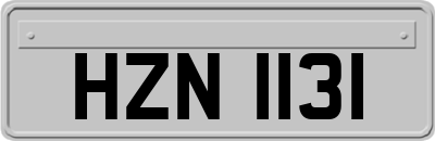 HZN1131