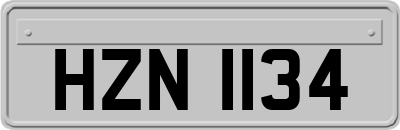 HZN1134